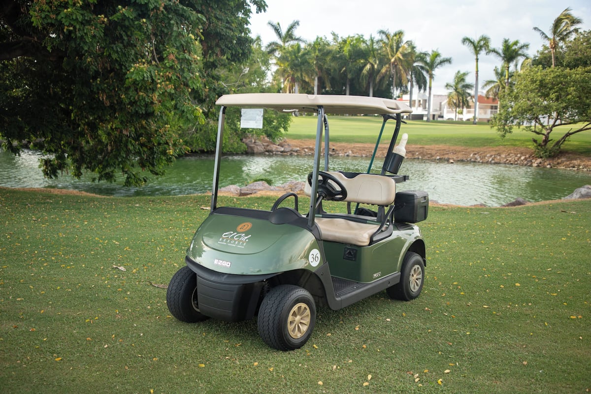 A golf cart parked on a grassy area near a body of water with trees and a building in the background.