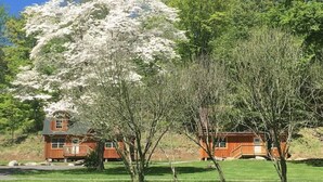A two-story wooden cabin with a stone foundation, surrounded by a well-maintained lawn and flowering trees.
