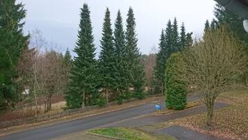 Comfort tweepersoonskamer, balkon, uitzicht op bergen | Divers