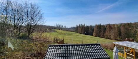 A rural landscape with a wooden cabin and a metal roof.