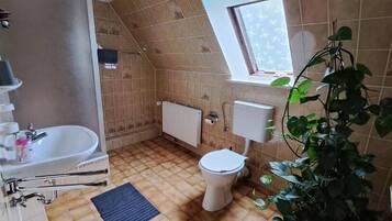 Ducha, secador de pelo, toallas, papel higiénico