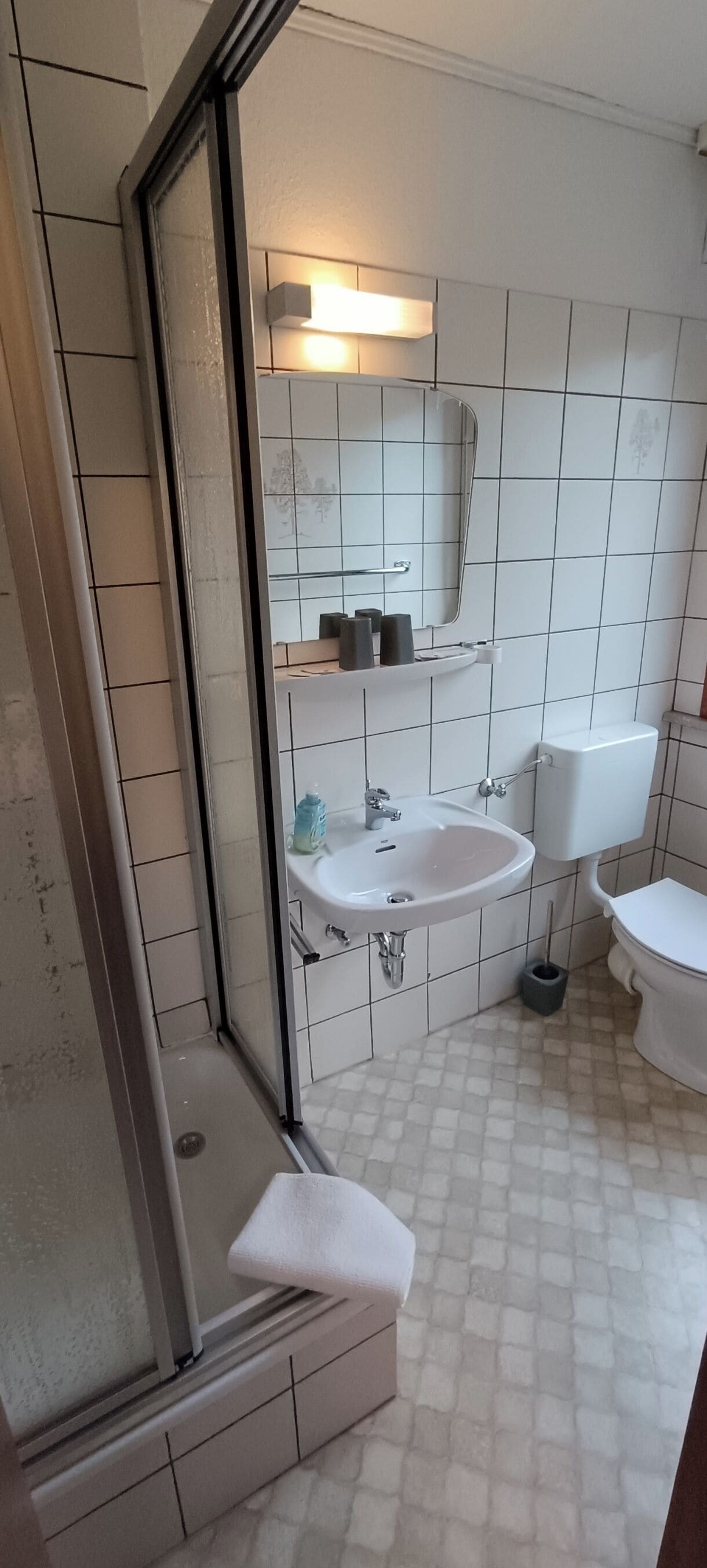 Une salle de bain avec une douche à parois de verre, un lavabo, un miroir et des toilettes.