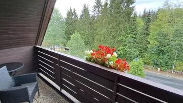 Klassieke eenpersoonskamer, balkon, uitzicht op bergen | Terrein van de accommodatie