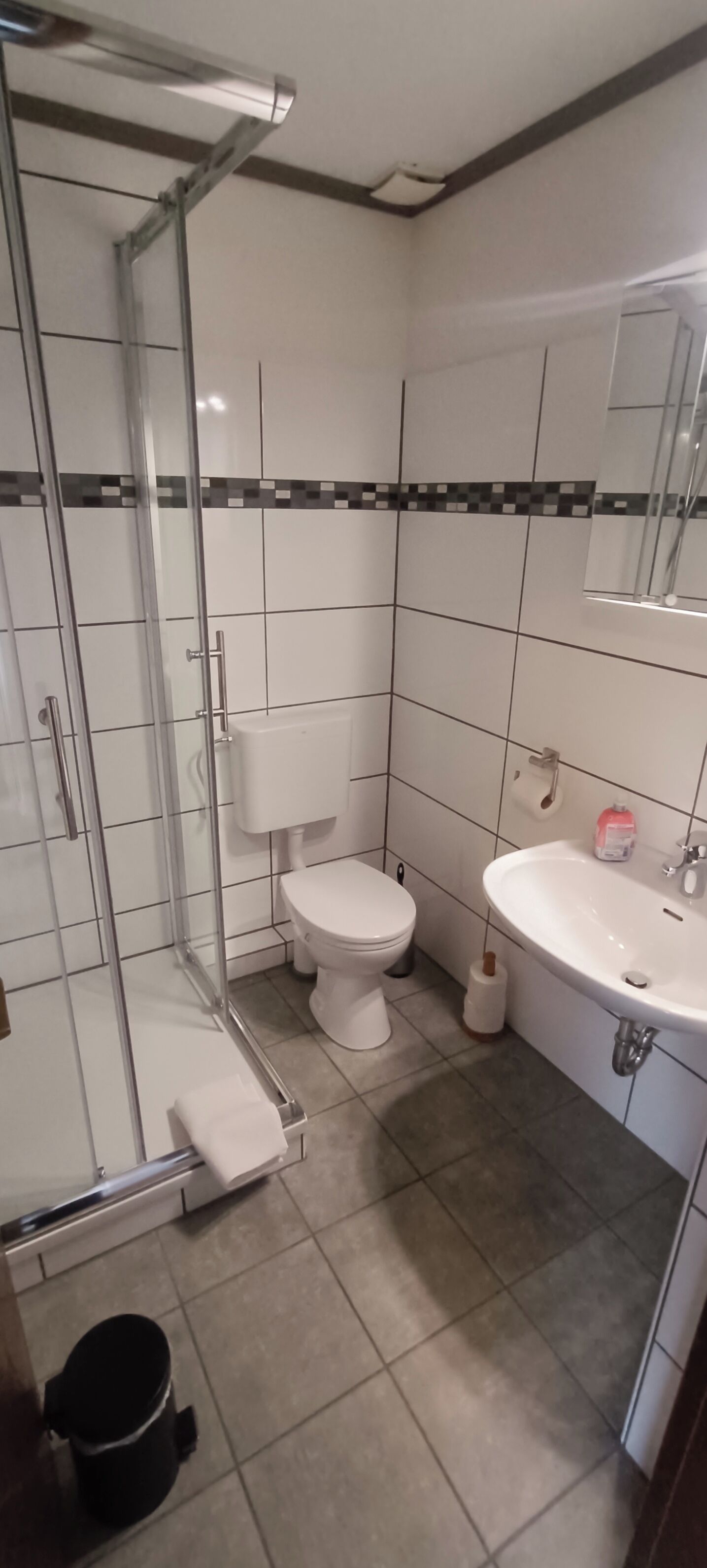 Un baño con ducha separada por mampara de cristal, inodoro y lavabo.