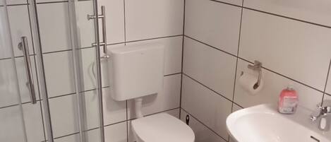 Un baño con ducha separada por mampara de cristal, inodoro y lavabo.