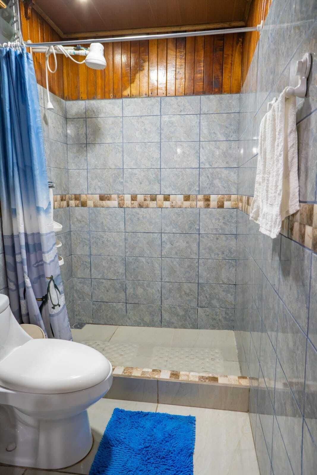 A bathroom with a shower, toilet, and blue rug.