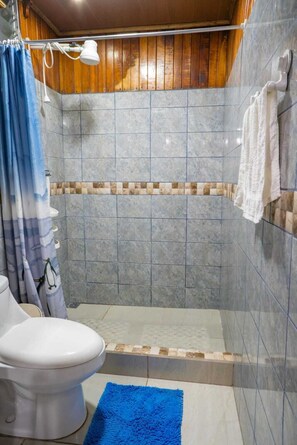 Dusche, Handtücher, Seife, Toilettenpapier
