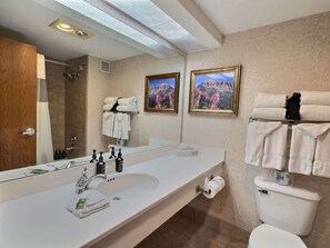 Shower, hair dryer, towels - Suite close to skiing, pool and hot tub! (Crested Butte)