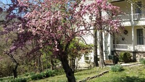 Et hus med en forhave, et træ med lyserøde blomster og en klar blå himmel.