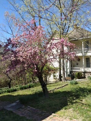 A house with a front yard, a tree with pink blossoms, and a clear blue sky. - The Reflection Suite (Eureka Springs)