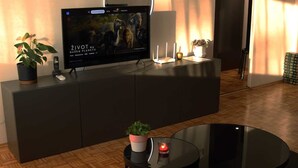 Un salon moderne avec un téléviseur à écran plat, un canapé, une table basse et une plante en pot.