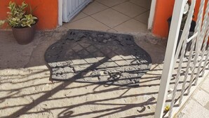 En inhägnad entré med en grind av metall, en krukväxt och ett klinkergolv som leder till en trappa.