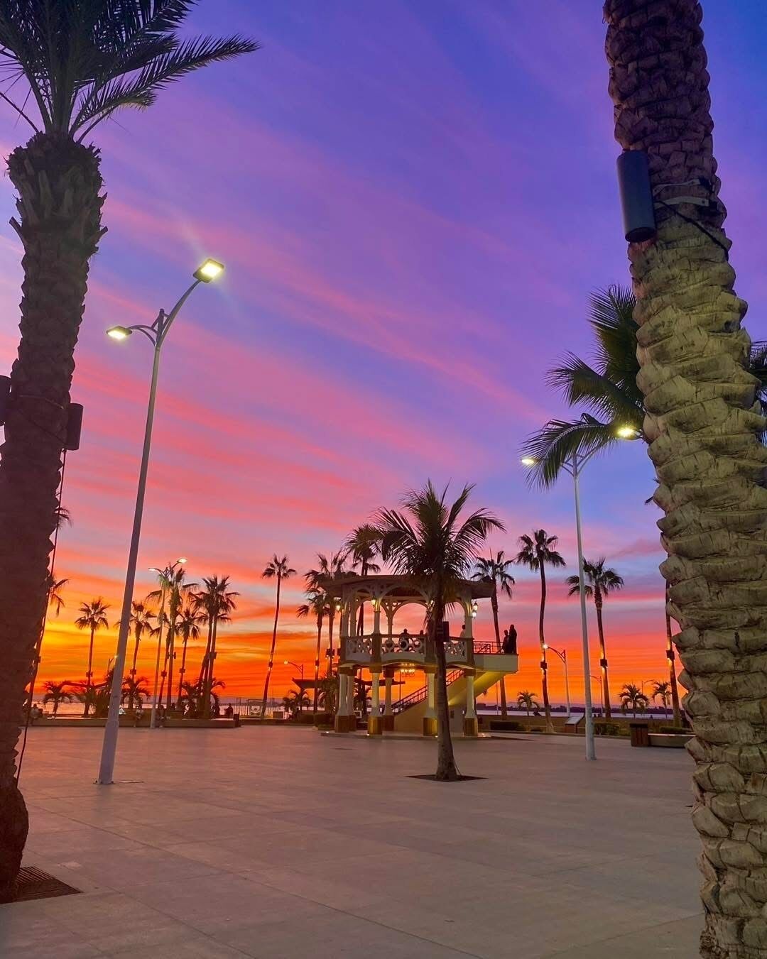 A sunset view with palm trees and a gazebo in a public square.