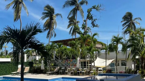 Une piscine avec des chaises longues et des palmiers.