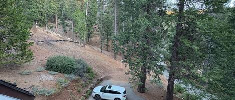 A white SUV parked on a winding road surrounded by dense forest.