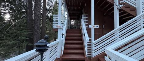A wooden staircase leading to a covered area with white railings, surrounded by trees.