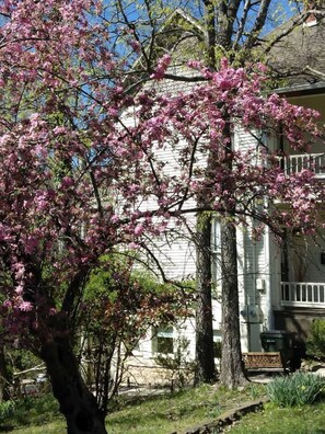 Property grounds - The Garden Suite (Eureka Springs)