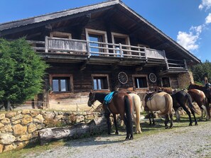 Exterior - Chalet for 10 people Crest Voland ski in ski out Large space Individual chalet (Crest-Voland)