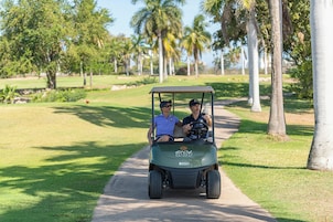 Carrito de golf