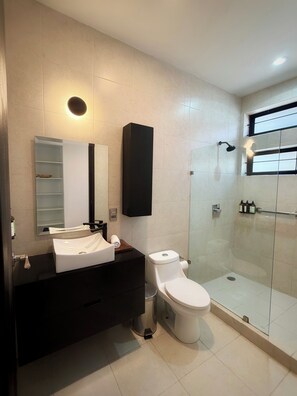 Hair dryer, towels, soap, shampoo