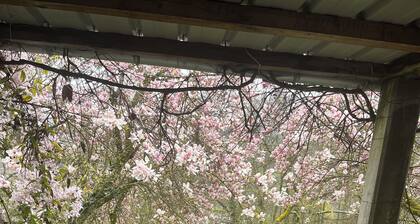 Charming cottage SPA à Munster