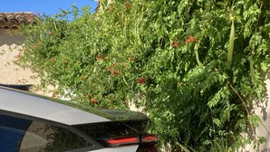 Un automóvil estacionado con un cable de carga conectado al puerto trasero.