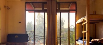 Mad Vervet Hostel - Addis