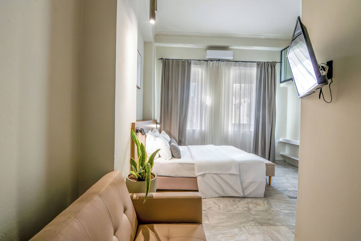 A hotel room with a bed, a sofa, a potted plant, a TV, and a window with curtains.