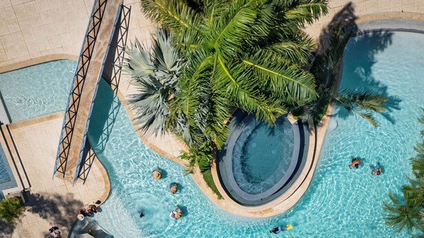 Vista aerea di una piscina con acqua cristallina, circondata da palme e un ponte.