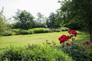 Property grounds - Waldhusenblick Holiday Apartment (Pellworm)