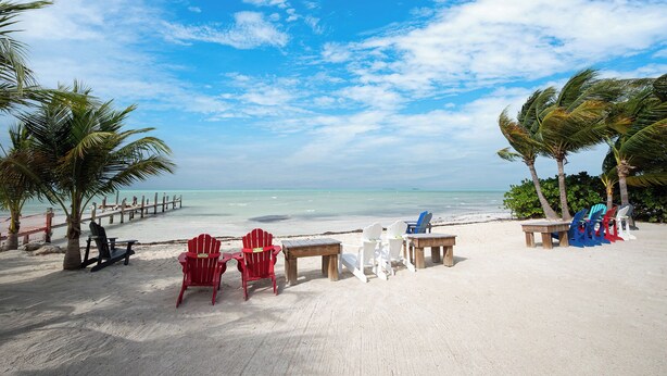 A beach with chairs and tables, palm trees, and a wooden walkway. - Exclusive White Marlin Beach Retreat - Private Beach Access & Dock (Islamorada)