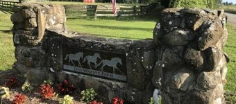 Horse farm near Manassas Battlefield.