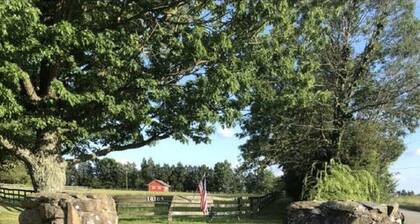 Horse farm near Manassas Battlefield.