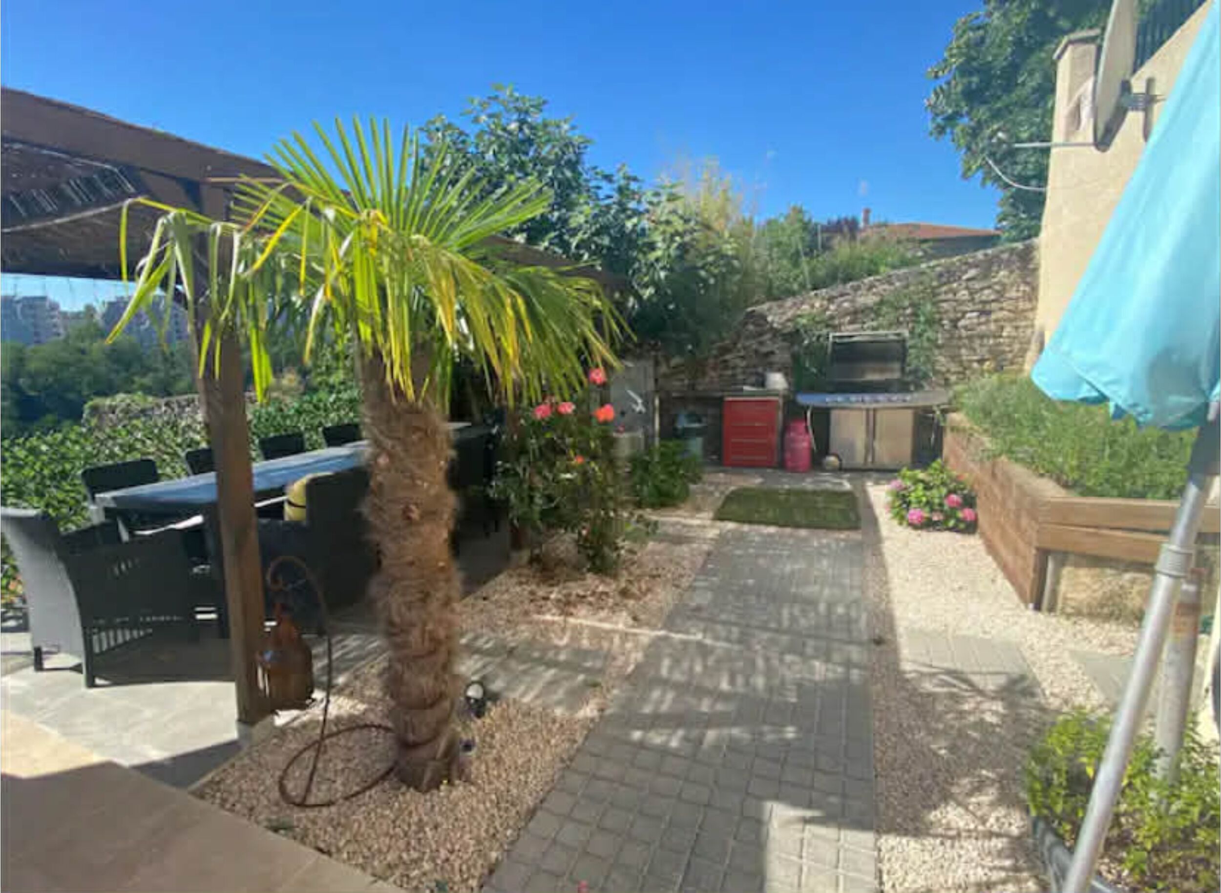 Eine Terrasse mit einer Palme, einer roten Tür und einer Steinmauer.