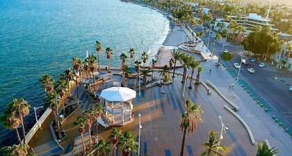 Condo Alegria Salvatierra Residences Pet Friendly