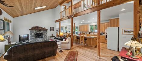 TV, fireplace, books