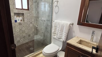 Secador de cabelo, toalhas de banho, sabonete, papel higiênico