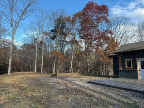 Property grounds - Starry Night Retreat cabin w/ 2 bedroom plus loft retreat on 2 acres of solitude (Arbovale)