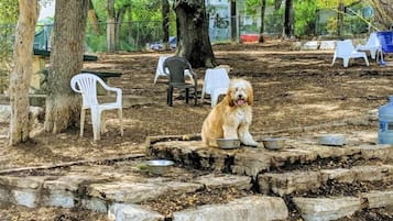 Enceinte de lâhĂ©bergement