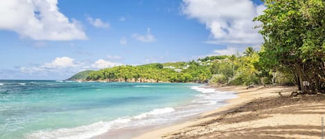 A beach with clear turquoise waters, a sandy shore, and lush greenery.