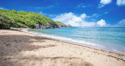 One Bedroom Apartment - Beachfront
