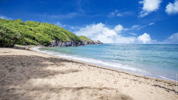 A beach with clear blue water, sandy shore, and lush green hills. - 3-Bedroom Duplex Apartment – Beachfront (La Trinité)