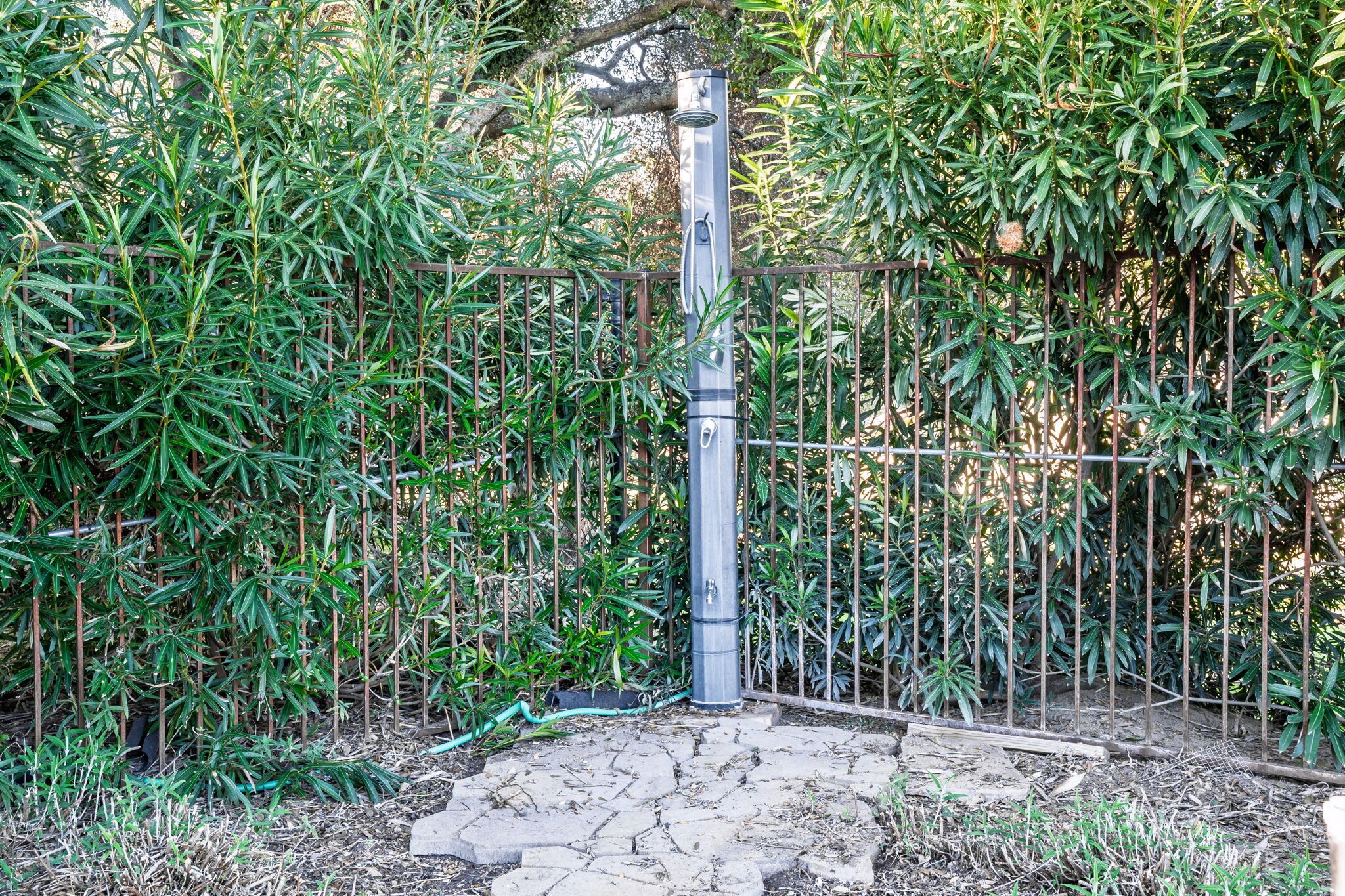 Een tuin met een metalen hek, een stenen pad en weelderige begroeiing.