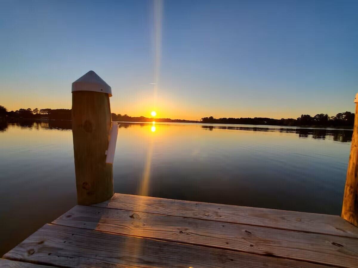 Imagen de perfil del propietario o de la propietaria