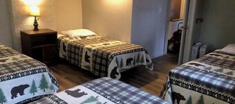 格雷沙姆海岸 - 大北極星 - 寵物友善