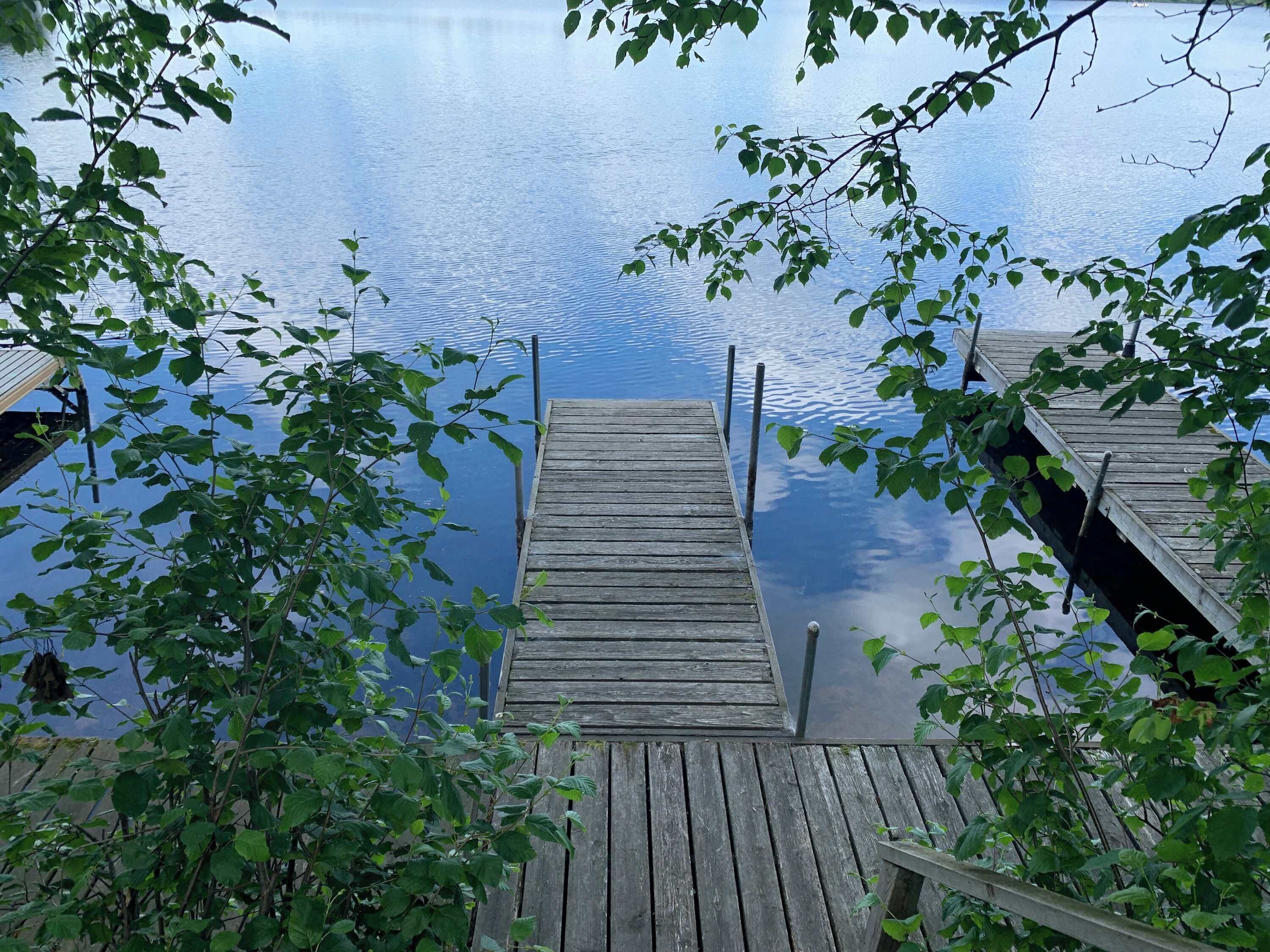 A wooden dock extending into calm water, surrounded by lush green foliage.