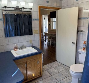 A bathroom with a sink, toilet, and shower area. - Margeson House -pet Friendly Home (Minocqua)