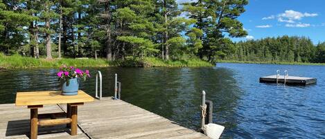 A wooden dock extending into a lake, surrounded by dense trees.