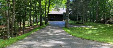 A paved driveway leading to a building surrounded by tall trees.