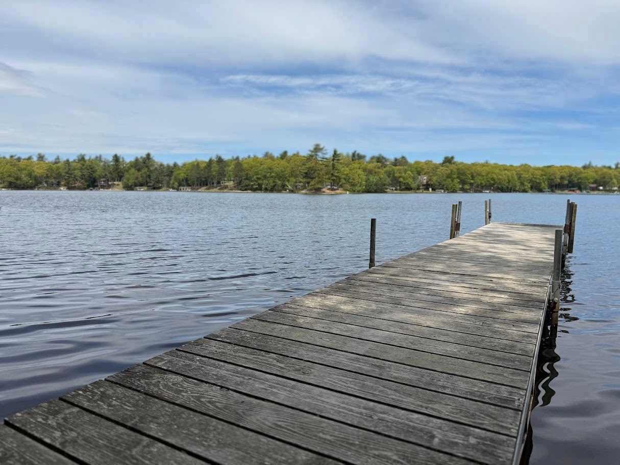 A wooden pier extending into calm water with a forested shoreline in the background.